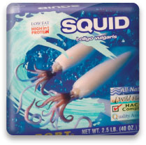 Sea Port Squid